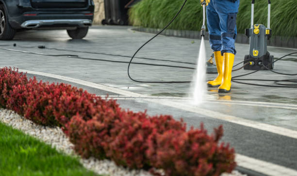 Professional Pressure Washing Services in Norwich, NY